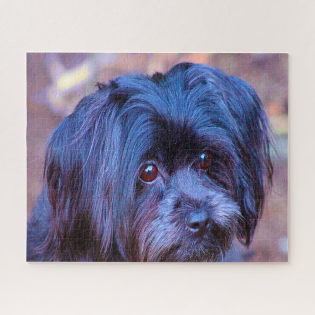 Quebra-cabeça Shih Tzu Dog Jigsaws. (Horizontal)