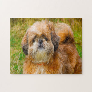 Quebra-cabeça Shih Tzu Dog Jigsaws.