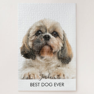 Quebra-cabeça Shih Tzu Pet Dog Fotografia Personalizada