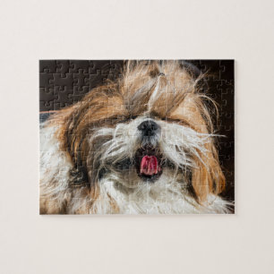 Quebra-cabeça Shiz tzu boiando língua engraçada