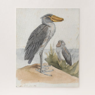 Quebra-cabeça Shoebill Stork 1887 - Impressão Zoológico Africano