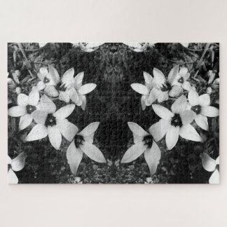 Quebra-cabeça Silent Symmetry