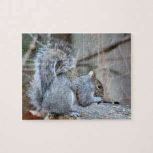 Quebra-cabeça Silver Squirrel