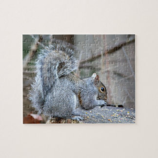 Quebra-cabeça Silver Squirrel