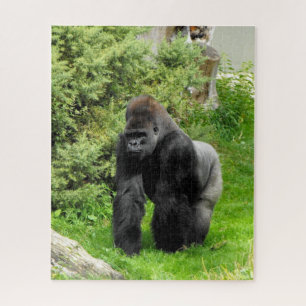 Quebra-cabeça Silverback gorila