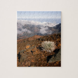 Quebra-cabeça Silversword no cume da cratera Haleakala a partir
