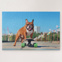 Skate legal Buldogue Francês
