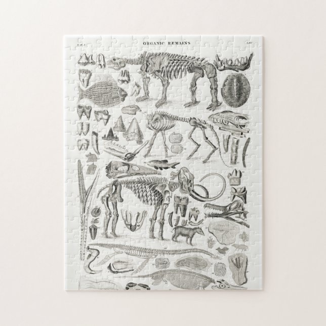 Quebra-cabeça Skelull Animal Halloween (Vertical)