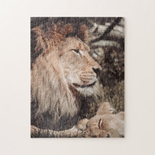 Quebra-cabeça Sleepy Lions Puzzle