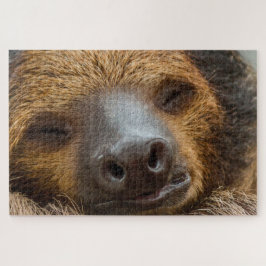 Quebra-cabeça Sloth_005_by_JAMFoto