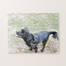 Smokey Espera Para Ir Para Um Passeio Puzzle