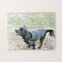 Quebra-cabeça Smokey Espera Para Ir Para Um Passeio Puzzle