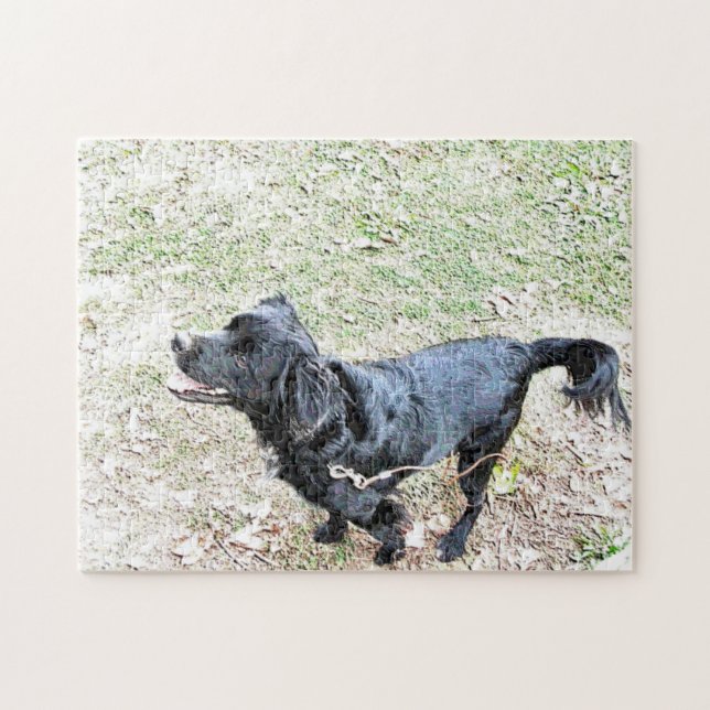 Quebra-cabeça Smokey Espera Para Ir Para Um Passeio Puzzle (Horizontal)