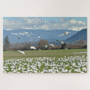 Quebra-cabeça Snow Geese em um Campo
