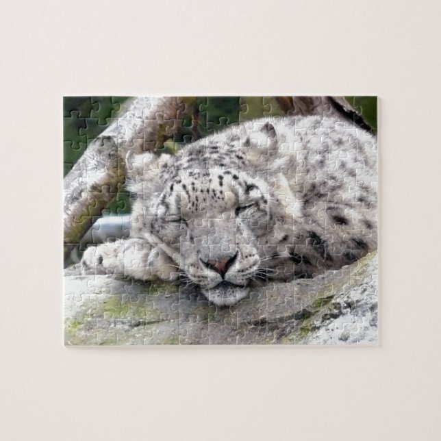 Quebra-cabeça Snow Leopard - beautiful! (Horizontal)