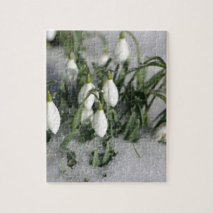Quebra-cabeça Snowdrop