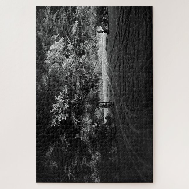 Quebra-cabeça Snowy Forest at Night - monochrome puzzle (Vertical)