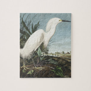 Quebra-cabeça Snowy Heron ou White Egret de Birds da América