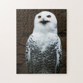 Quebra-cabeça Snowy Owl 11x14 252pc jpcna
