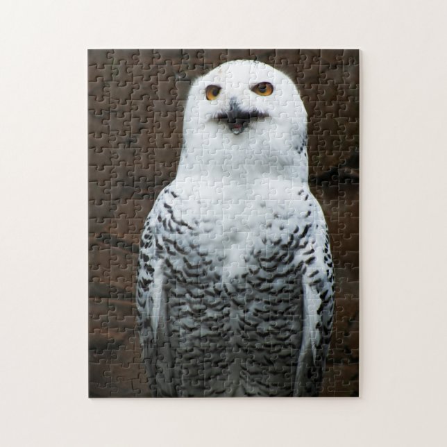Quebra-cabeça Snowy Owl 11x14 252pc jpcna (Vertical)