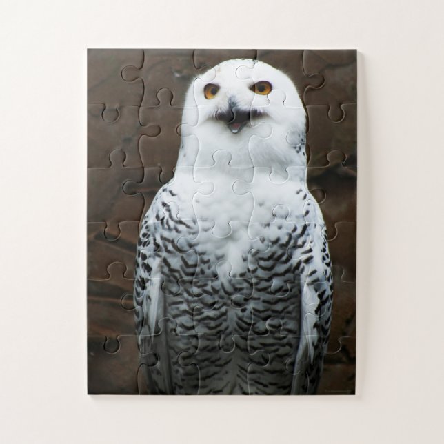 Quebra-cabeça Snowy Owl 11x14 30pc jpm (Vertical)