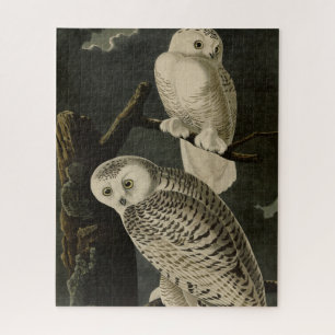 Quebra-cabeça Snowy Owl, Pássaros da América de John James Audub