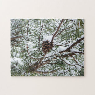 Quebra-cabeça Snowy Pine Cone II Fotografia de inverno