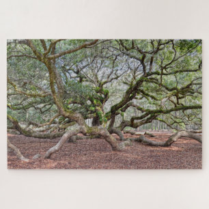 Quebra-cabeça Sob Angel Oak, Carolina do Sul