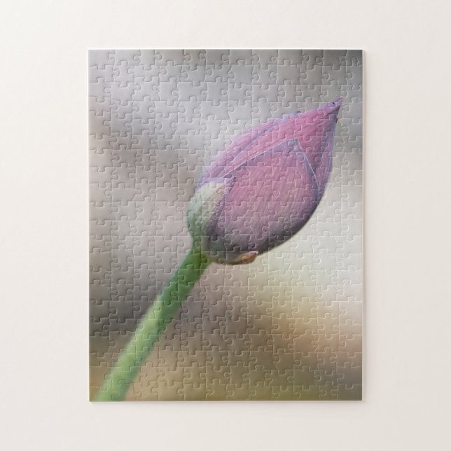 Quebra-cabeça "Solitude Brilhante" Um solteiro Rosa Lilly (Vertical)