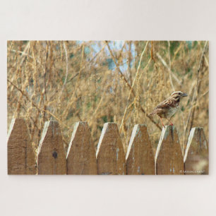 Quebra-cabeça Song Sparrow na Cerca