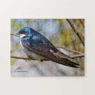 Quebra-cabeça Songbird em árvore estonteante em uma ramificação