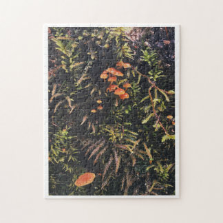 Quebra-cabeça Sonhos Fungos