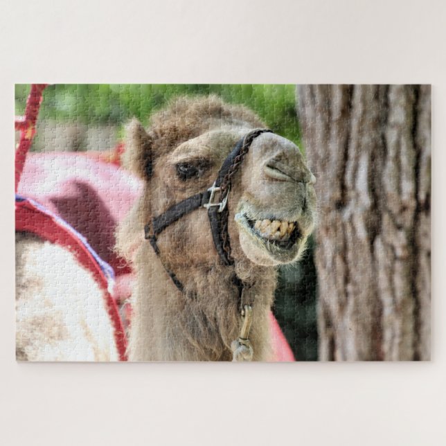 Quebra-cabeça Sorria (Horizontal)