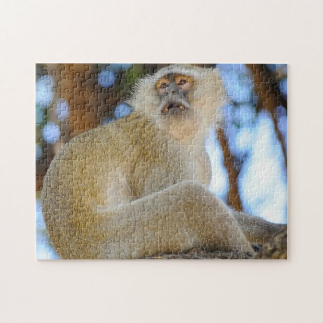 Quebra-cabeça Sorria. Macaco de Veludo do Botsuana. (Horizontal)