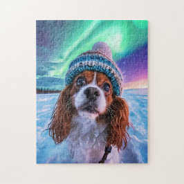 Quebra-cabeça Spaniel Sob as Luzes do Norte Noruega