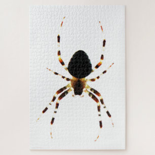 Quebra-cabeça Spider 20x30 1014pc jpcn