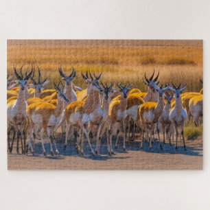 Quebra-cabeça Springbok Herd