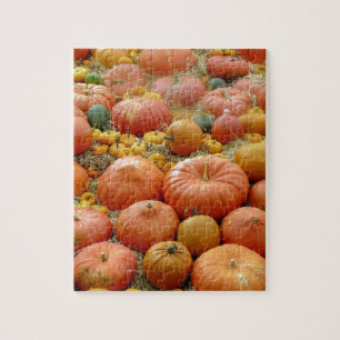 Quebra-cabeça Squashes Galore