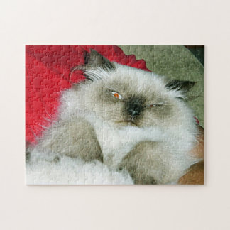 Quebra-cabeça Squcil Himmy