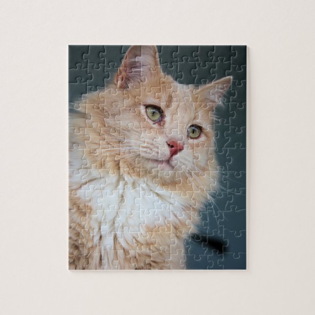 Quebra-cabeça Sr. Handsome (Vertical)