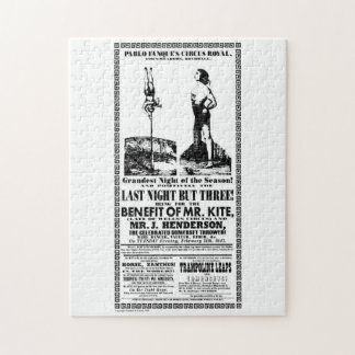 Quebra-cabeça Sr. Papagaio Confusão