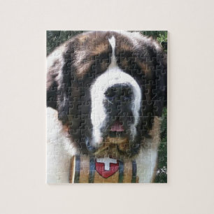 Quebra-cabeça St Bernard