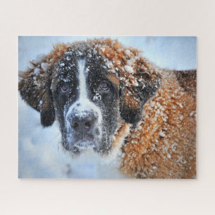 Quebra-cabeça St Bernard in the Snow