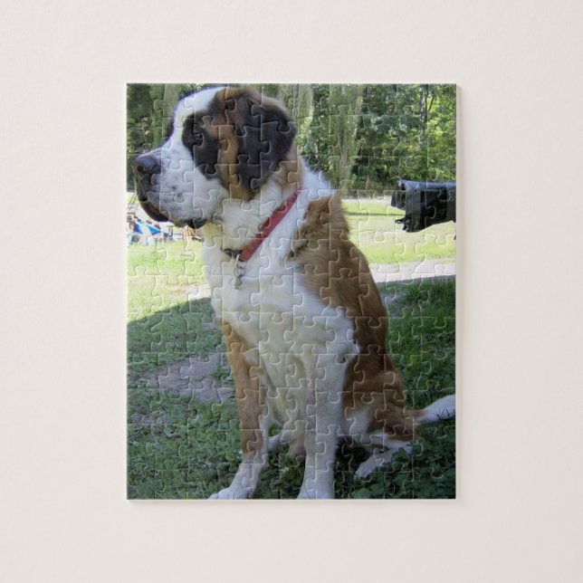 Quebra-cabeça St Bernard que senta 2 (Vertical)