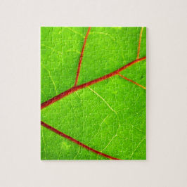 Quebra-cabeça St Thomas 1