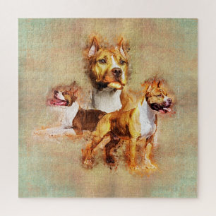 Quebra-cabeça Staffordshire Terrier americano - Amstaff