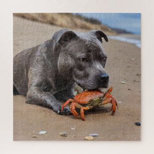 Quebra-cabeça Staffy É Amigo De Um Caranguejo De Praia,