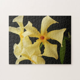 Quebra-cabeça Star Jasmine Flower 11x14 jpcnm 252pc