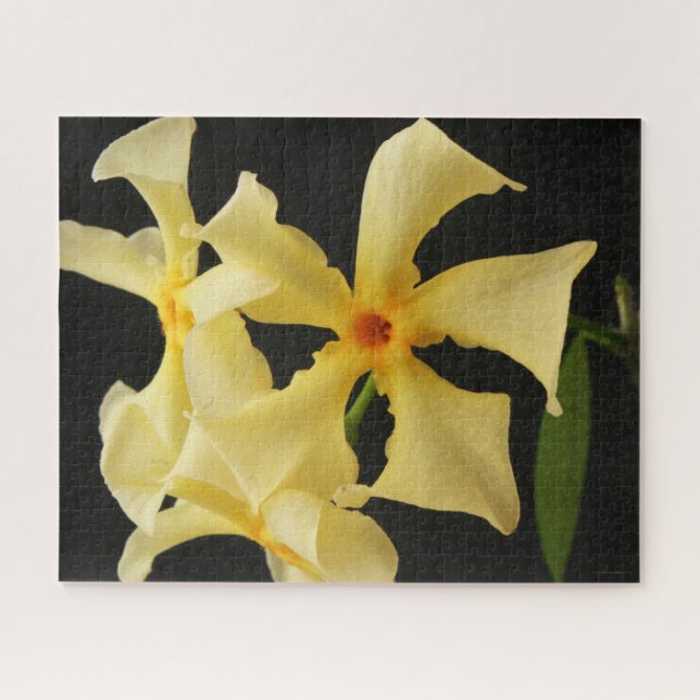 Quebra-cabeça Star Jasmine Flower 16x20 520pc jpa (Horizontal)