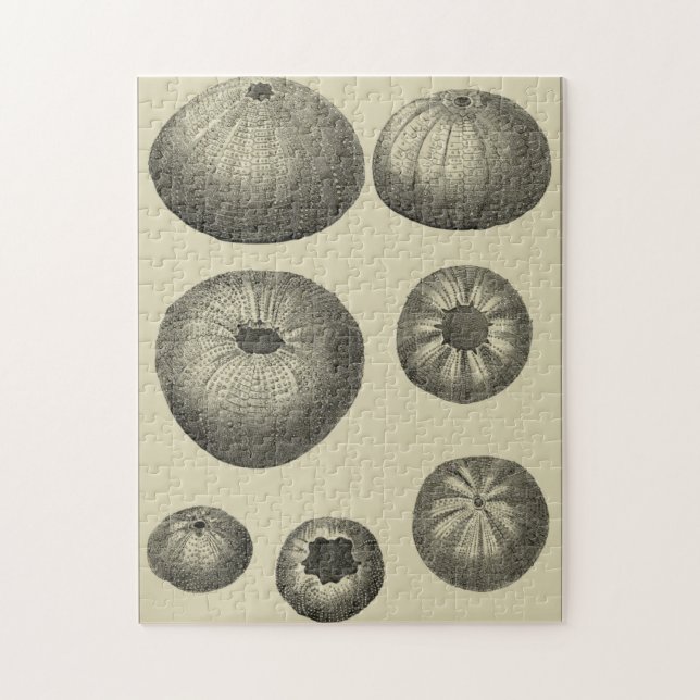 Quebra-cabeça Starfish preto e branco (Vertical)